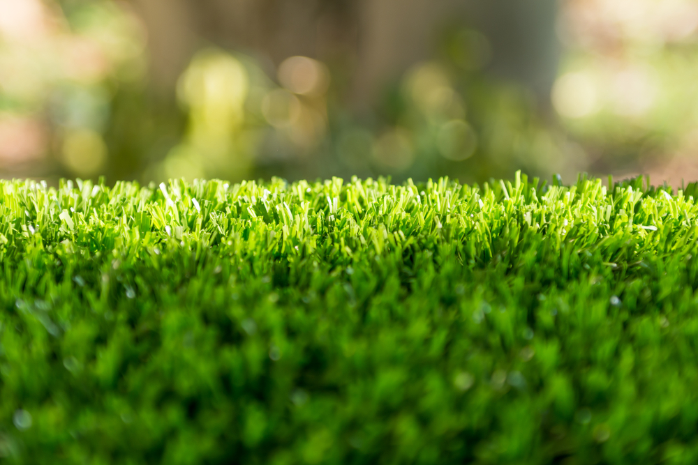 Artificial Grass