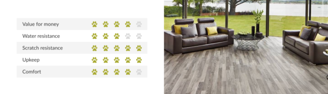 laminate flooring for dogs