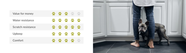tiles for dogs